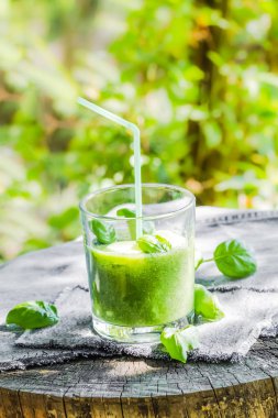 Yeşil smoothie taze salatalık kereviz fesleğen