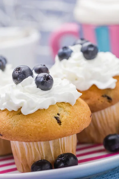 Dolce deliziosa crema di muffin mirtilli rossi — Foto Stock