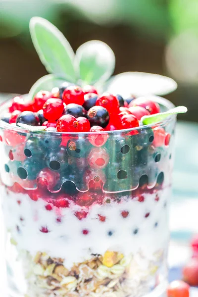Alimentation saine muesli fruits frais colorés — Photo