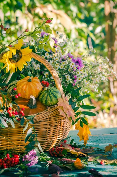 Πτώση φθινοπώρου συγκομιδή κήπων κολοκύθας φρούτα πολύχρωμο λουλούδι καλάθι — Φωτογραφία Αρχείου