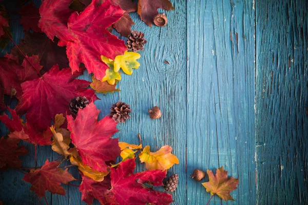 Hösten bakgrund gåvor lämnar natur trä — Stockfoto