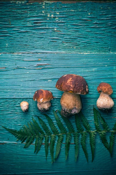 Table en bois composition automne bolet — Photo