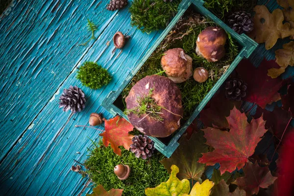 Autumn forest composition mushrooms basket — Stock Photo, Image