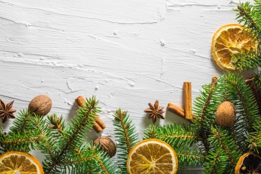 Noel beyaz arka plan taze dallar kozalaklı ağaç narenciye kurutulmuş