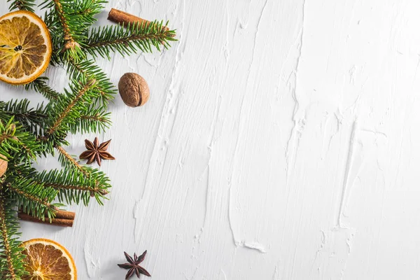 Christmas white background fresh twigs conifer tree dried citrus — Stock Photo, Image