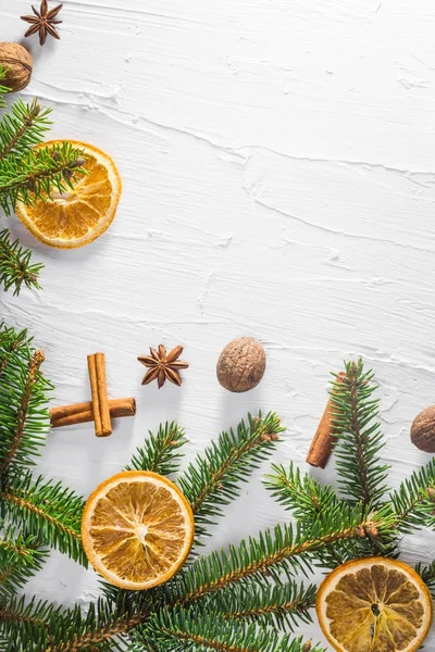 Weihnachten weißer Hintergrund frische Zweige Nadelbaum getrocknete Zitrusfrüchte — Stockfoto