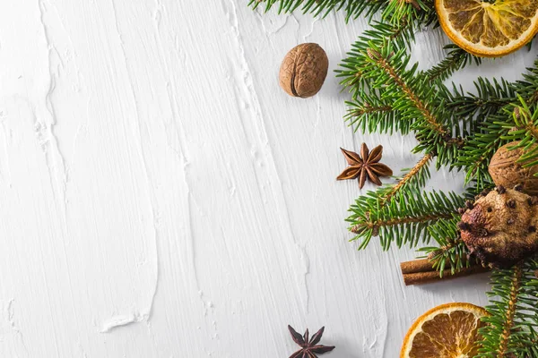 Christmas white background fresh twigs conifer tree dried citrus — Stock Photo, Image