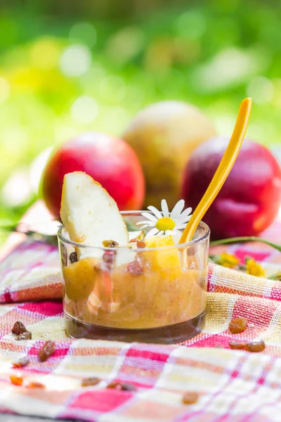 Summer drink garden smoothie pears nectarines raisins — Stock Photo, Image