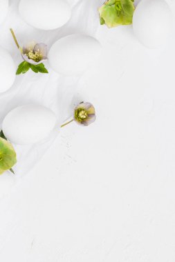 Paskalya beyaz arka plan çiçekleri