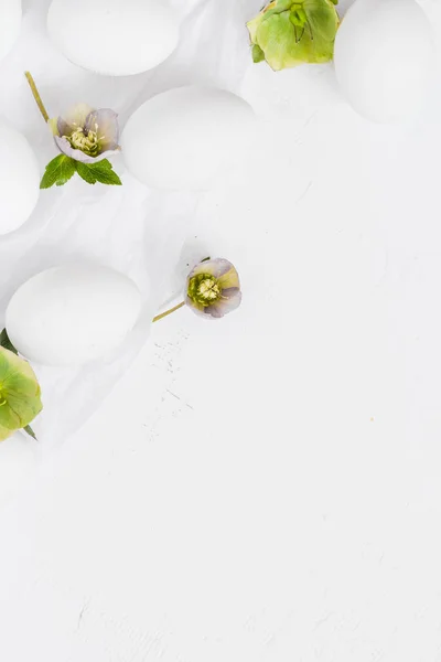 Pâques blanc fond oeufs fleurs — Photo