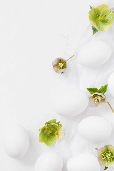 Πασχαλινά λευκά άνθη αυγών — Φωτογραφία Αρχείου
