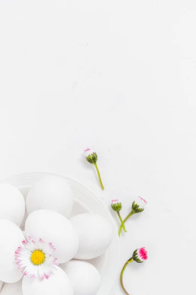 Voorjaar Pasen achtergrond met witte eieren Daisy bloemen — Stockfoto