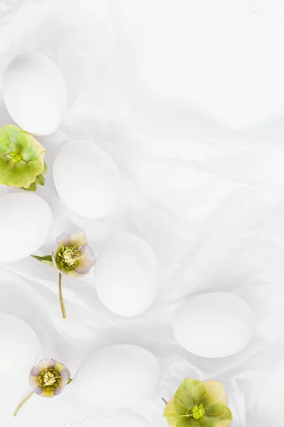 Wielkanoc biały tło jajka kwiaty — Zdjęcie stockowe