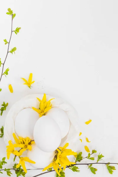 Witte eieren witte achtergrond forsythia bloemen groene twijgen — Stockfoto