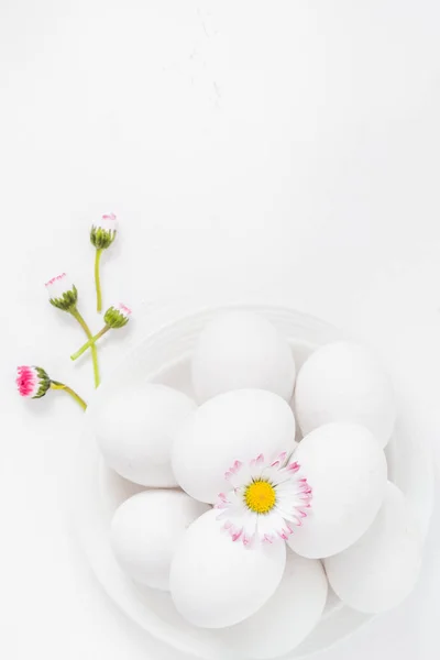 Tavaszi húsvéti háttér fehér tojás Daisy virágok — Stock Fotó