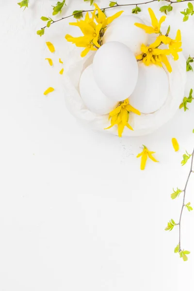 Λευκά αυγά λευκό φόντο forsythia λουλούδια πράσινα κλαδιά — Φωτογραφία Αρχείου