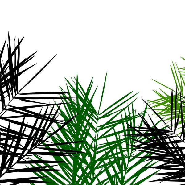 Bakgrund med palm lämnar. Vektor — Stock vektor
