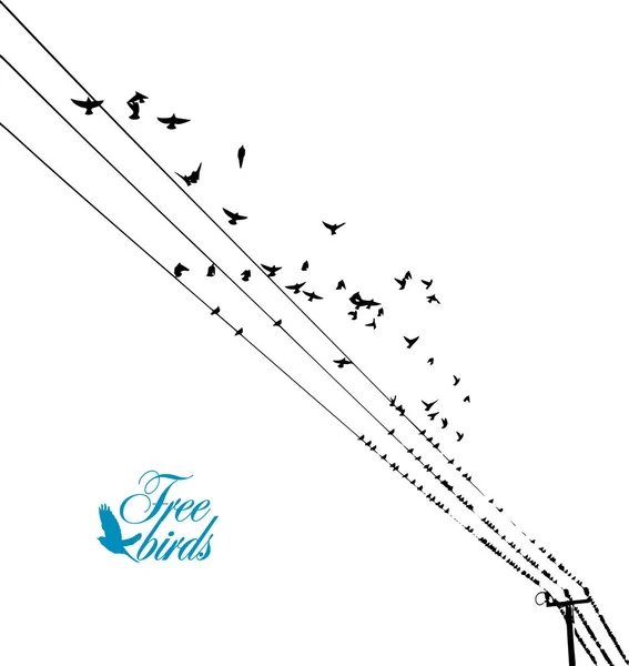 Burung di kabel. Ilustrasi vektor - Stok Vektor