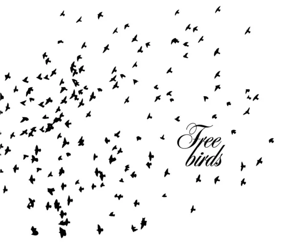 Um bando de pássaros voadores. Ilustração vetorial — Vetor de Stock