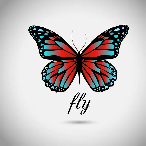 Mariposa azul roja. Ilustración vectorial — Vector de stock