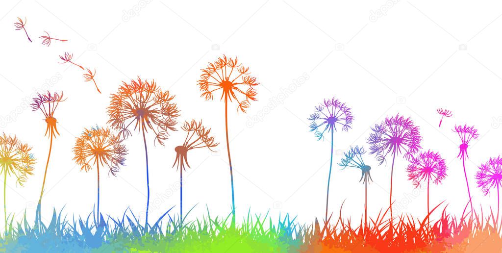 Colorful dandelions. Abstraction of a meadow with rainbow flowers. Vector illustration