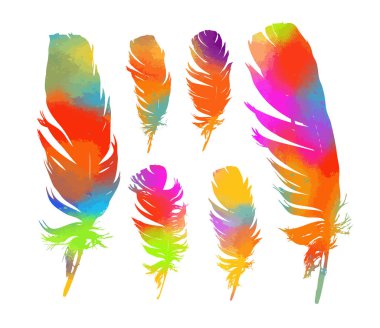 Bir dizi tüy silueti. Vektör illüstrasyonu