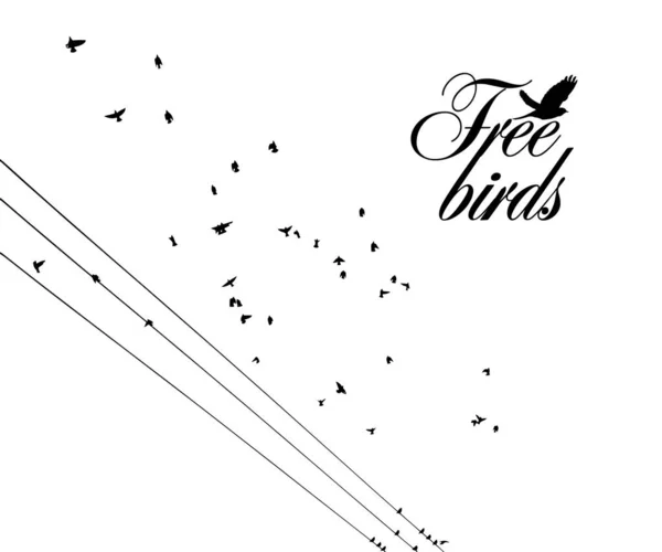 Oiseaux sur fils. Illustration vectorielle — Image vectorielle