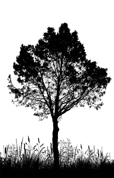 La silhouette del paesaggio della natura. Illustrazione vettoriale — Vettoriale Stock