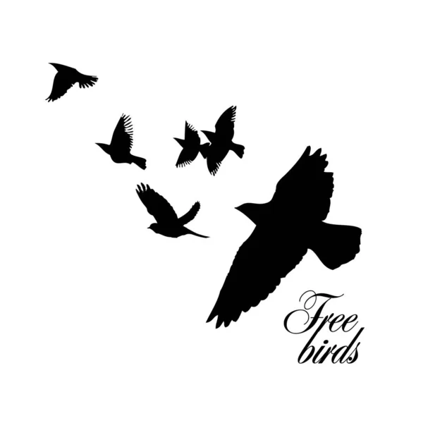 Ein Schwarm fliegender Silhouettenvögel. Vektorillustration — Stockvektor