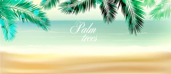 Background with palm leaves. mixed media. Vector illustration — 스톡 벡터