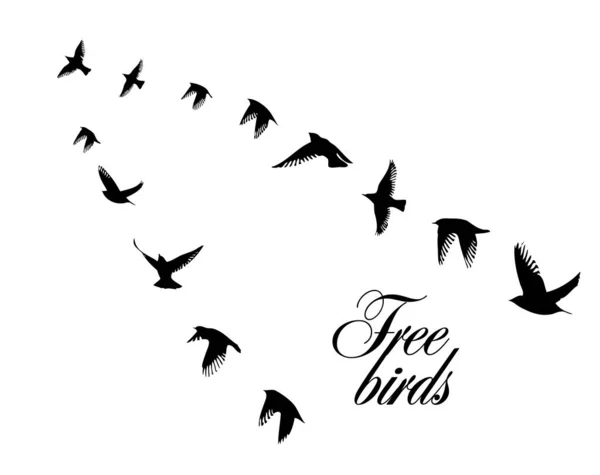 Una bandada de aves voladoras. Una escuela de pájaros volando hacia el sur. Ilustración vectorial — Vector de stock