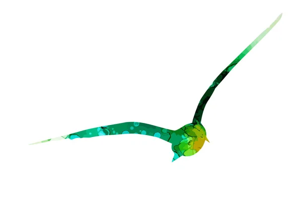 Acuarela gaviota multicolor. Medios mixtos. Ilustración vectorial — Archivo Imágenes Vectoriales