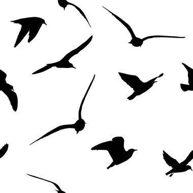 Uçan martıların kusursuz arkaplanı. Karışık medya. Vektör illüstrasyonu