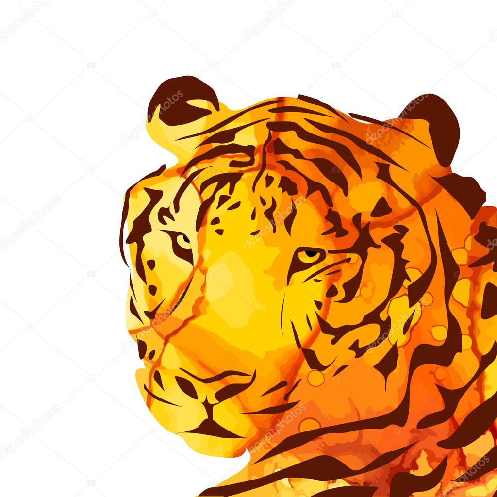 The tiger's head. Mixed media. Vector illustration