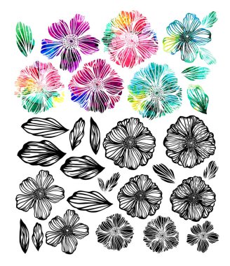 Bir çift monokrom ve çok renkli grafik çiçekleri. Karışık medya. Logo Vektörü illüstrasyonu