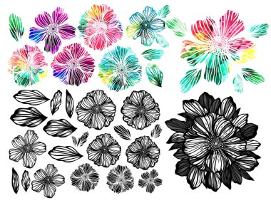 Bir çift monokrom ve çok renkli grafik çiçekleri. Karışık medya. Logo Vektörü illüstrasyonu