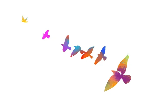 Çok renkli kuşları. Uçan gökkuşağı kuşu sürüsü. Vektör illüstrasyonu — Stok Vektör