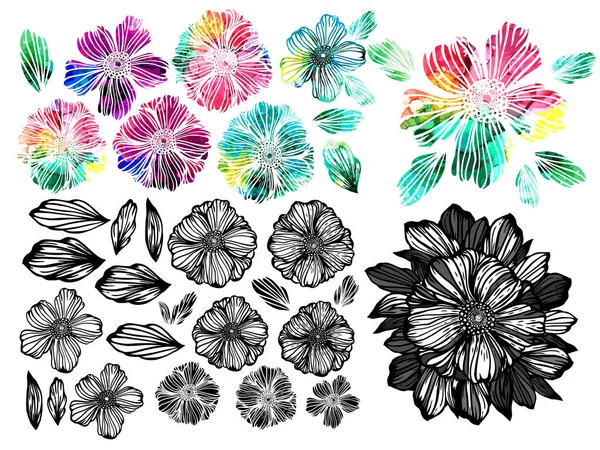 Sada monochromatických a pestrobarevných grafických květin. Smíšená média. Obrázek vektoru loga — Stockový vektor