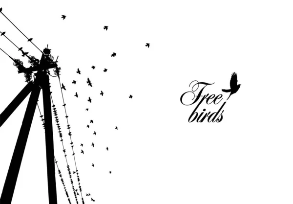 Birds on wires. Vector illustration — Stock Vector