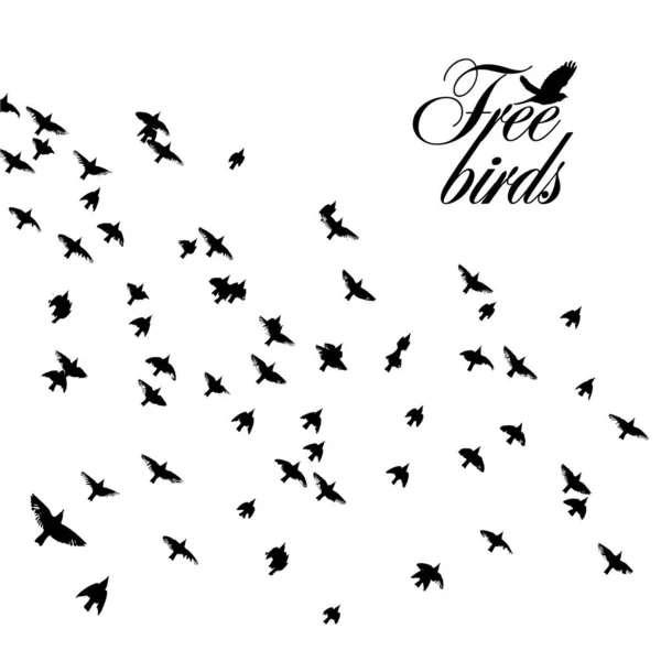 Una bandada de aves voladoras. Ilustración vectorial — Archivo Imágenes Vectoriales