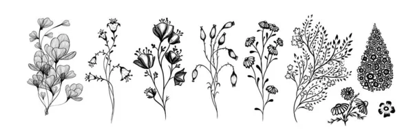 Un conjunto de flores silvestres monocromáticas. Ilustración de vectores — Vector de stock