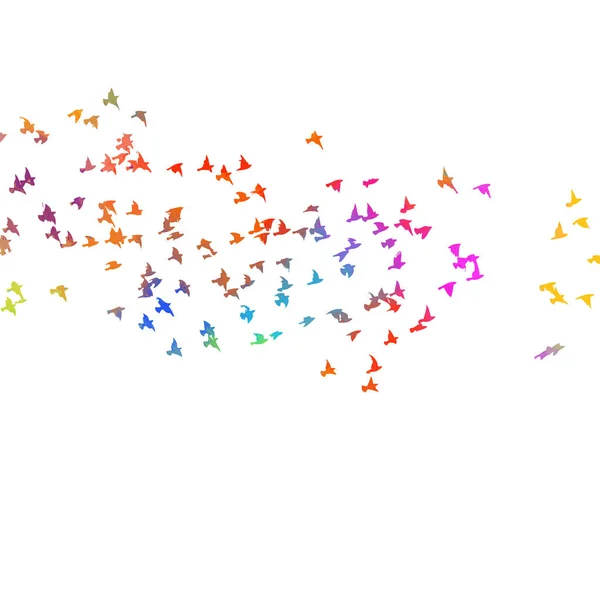 Bunte Vögel. Ein Schwarm fliegender Regenbogenvögel. Vektorillustration — Stockvektor