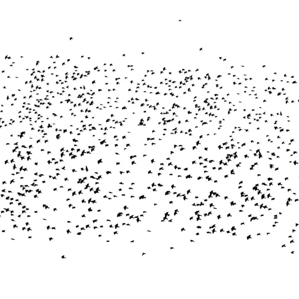 Troupeau Oiseaux Volants Illustration Vectorielle — Image vectorielle