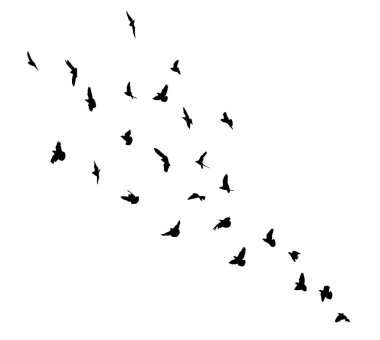 Uçan bir kuş sürüsü. Vektör illüstrasyonu