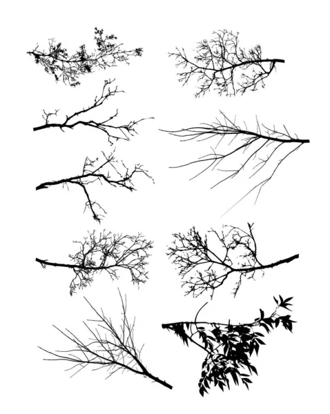 Insieme Rametti Alberi Senza Foglie Illustrazione Vettoriale — Vettoriale Stock