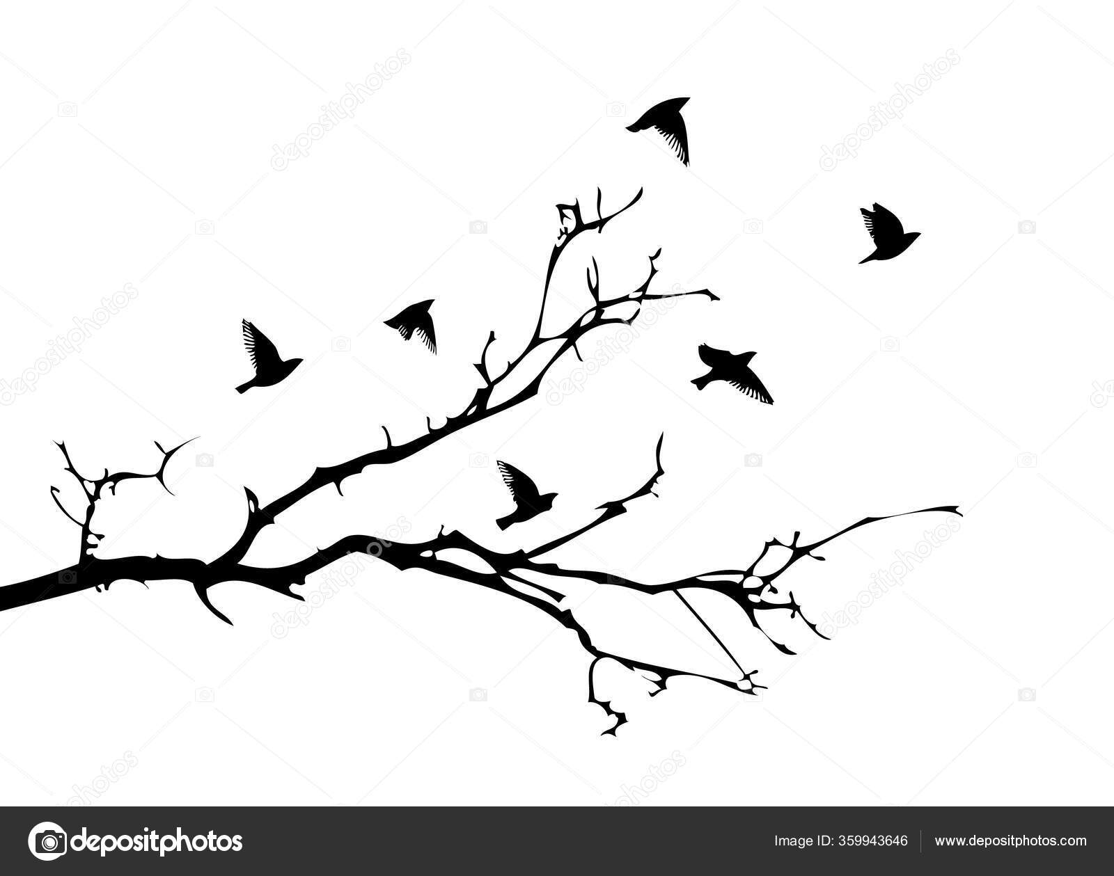 A tree branch without leaves with flying birds. Vector illustration ...