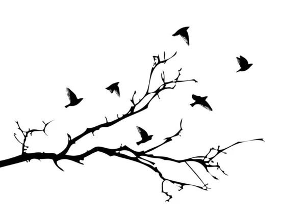 Une branche d'arbre sans feuilles avec des oiseaux volants. Illustration vectorielle — Image vectorielle