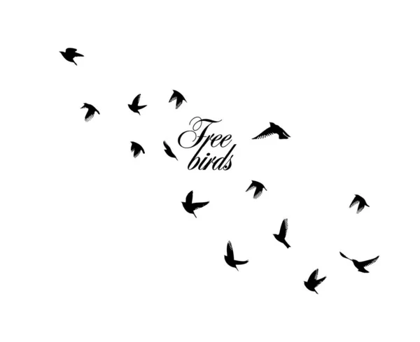 Un troupeau d'oiseaux volants silhouette. Illustration vectorielle — Image vectorielle