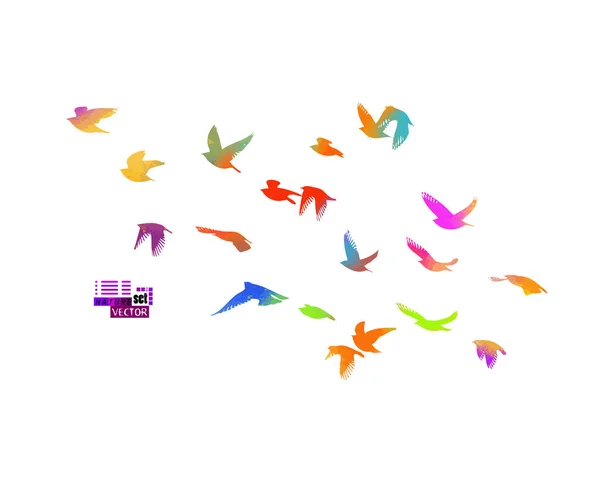 Aves multicolores. Una bandada de aves voladoras del arco iris. Medios mixtos. Ilustración vectorial — Vector de stock