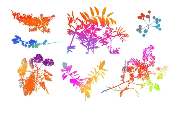 Conjunto de ramas de árboles con hojas coloridas. Medios mixtos. Ilustración vectorial — Archivo Imágenes Vectoriales